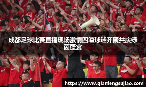 成都足球比赛直播现场激情四溢球迷齐聚共庆绿茵盛宴